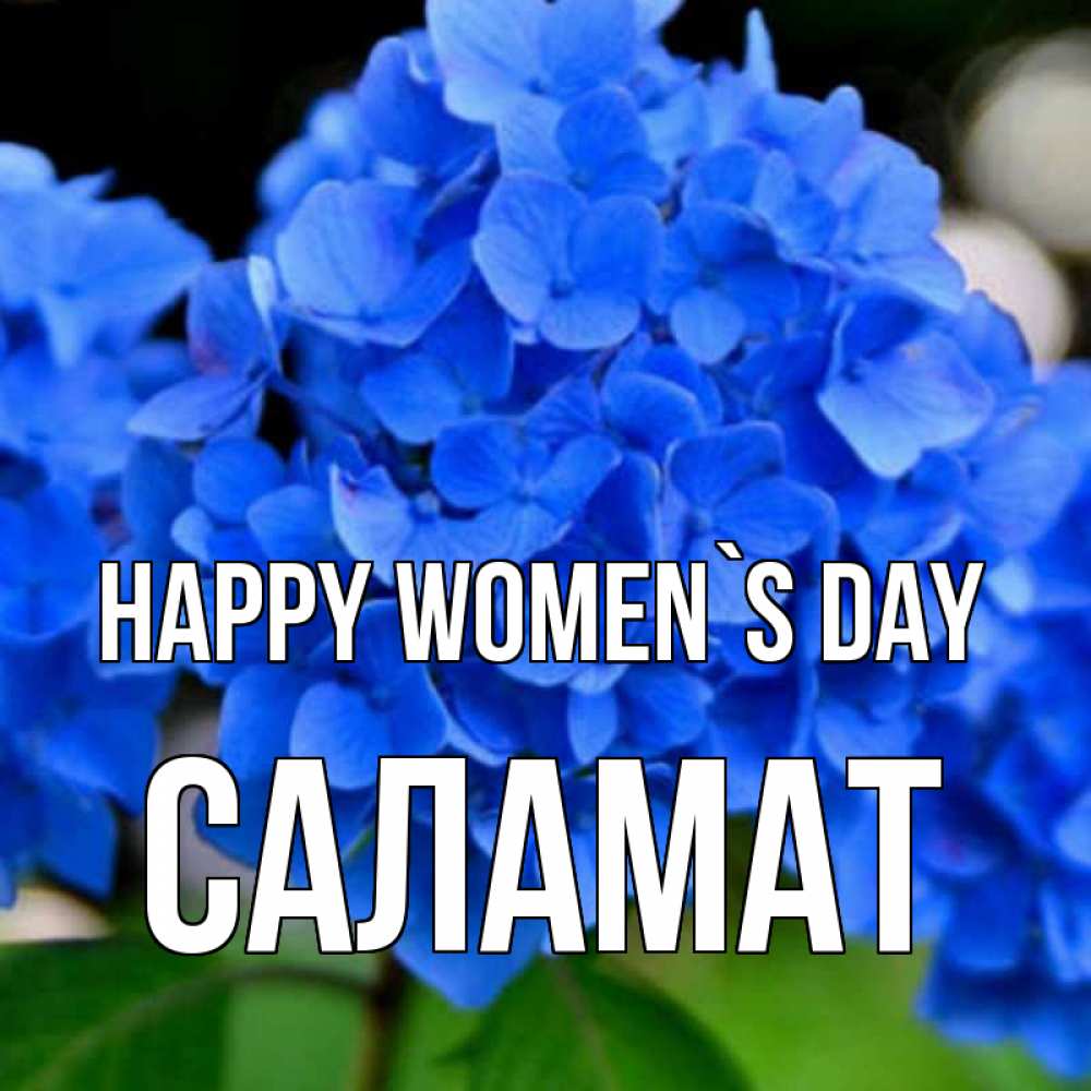 Greetings card с именем, САЛАМАТ happy women`s day синие цветы Greetings with text for free download 